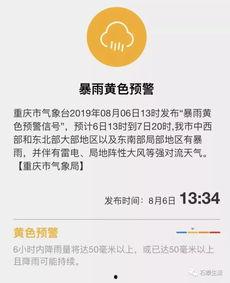 仙鱼最新爆料消息今天,今日热点事件深度解析