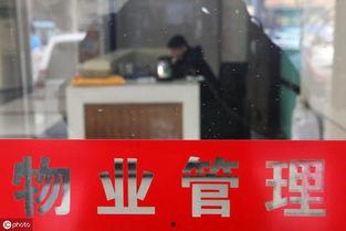 新城物业爆料事件视频最新,真相揭露与公众关注