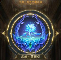 新武魂环爆料配置最新版,揭秘最新版神秘力量组合