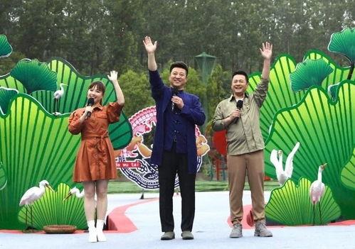 中兴最新爆料新闻事件视频,揭秘事件背后真相与影响