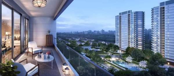 临安爆料最新消息荟烂尾,最新爆料揭示真相