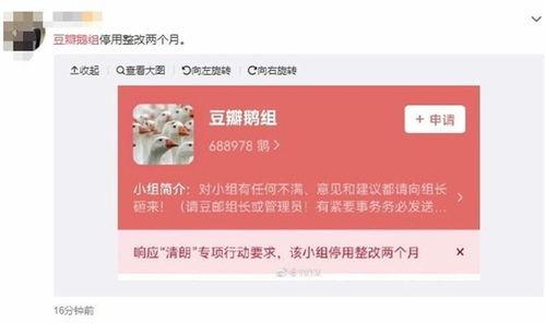 明星八卦大爆料最新豆瓣,豆瓣热议，娱乐圈幕后真相大揭秘
